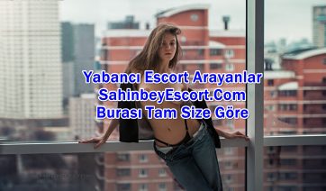 Her Otele Gelen Şahinbey Escort