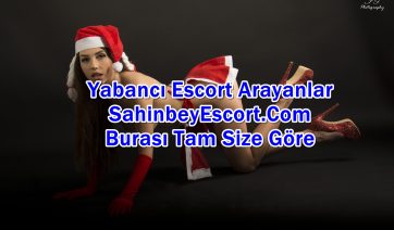 Ofise Gelen Şahinbey Escort