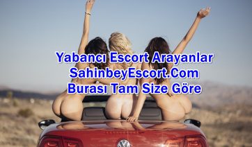 Ucuz Anal Yapan Şahinbey Escort